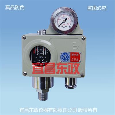 E2Y系列雙開關(guān)型壓力控制器
